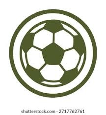 摩根-罗杰斯：期待同贝林厄姆在欧冠交手 同拉什